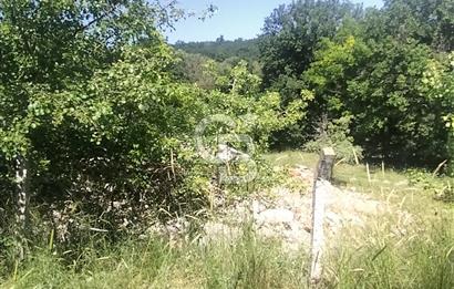 SATILIK, SİLİVRİ B. ÇAVUŞLU DA ORMAN MANZARALI 3 KAT İMARLI ARSA