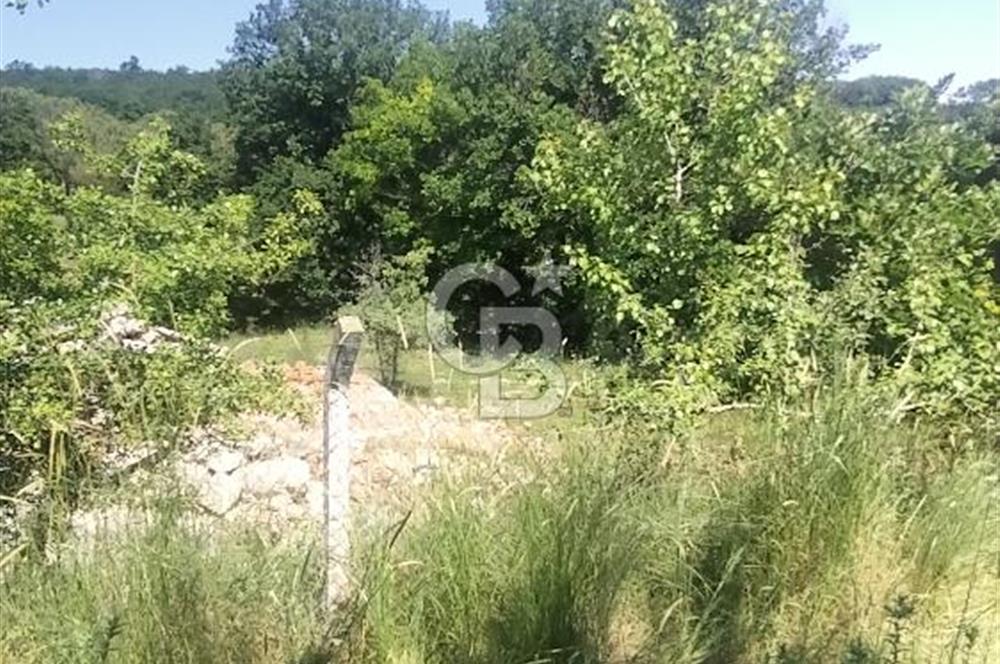 SATILIK, SİLİVRİ B. ÇAVUŞLU DA ORMAN MANZARALI 3 KAT İMARLI ARSA
