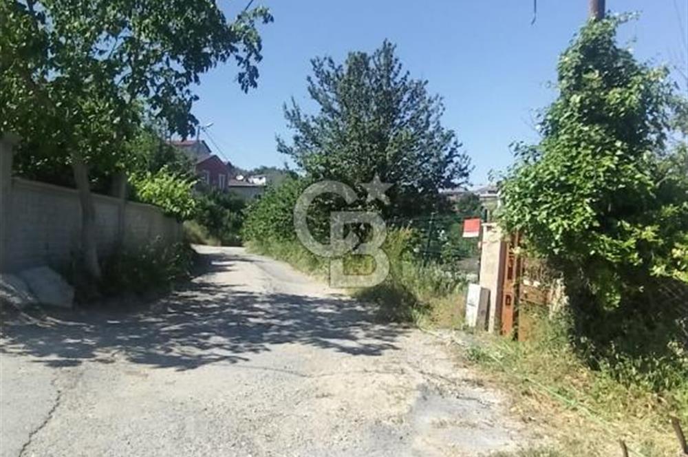 SATILIK, SİLİVRİ B. ÇAVUŞLU DA ORMAN MANZARALI 3 KAT İMARLI ARSA