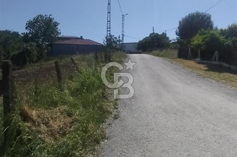 SATILIK, SİLİVRİ B. ÇAVUŞLU DA ORMAN MANZARALI 3 KAT İMARLI ARSA
