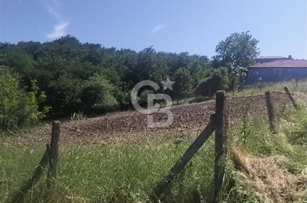 SATILIK, SİLİVRİ B. ÇAVUŞLU DA ORMAN MANZARALI 3 KAT İMARLI ARSA