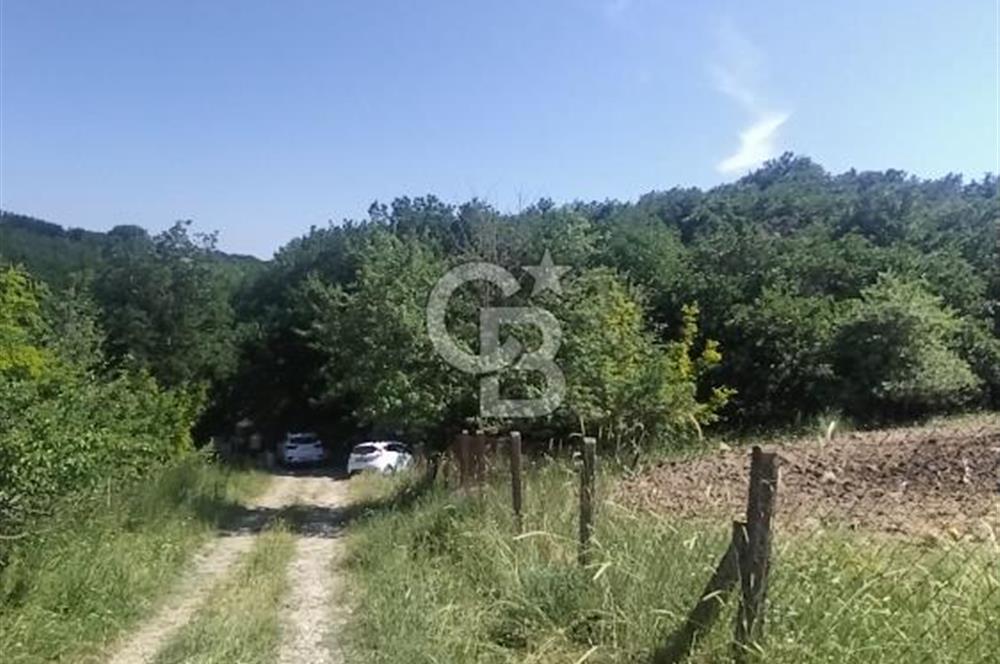 SATILIK, SİLİVRİ B. ÇAVUŞLU DA ORMAN MANZARALI 3 KAT İMARLI ARSA