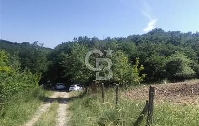SATILIK, SİLİVRİ B. ÇAVUŞLU DA ORMAN MANZARALI 3 KAT İMARLI ARSA