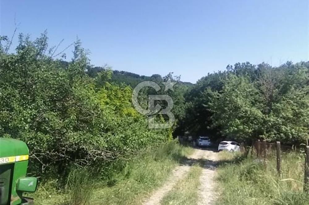 SATILIK, SİLİVRİ B. ÇAVUŞLU DA ORMAN MANZARALI 3 KAT İMARLI ARSA