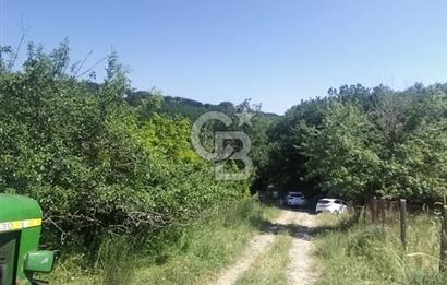 SATILIK, SİLİVRİ B. ÇAVUŞLU DA ORMAN MANZARALI 3 KAT İMARLI ARSA