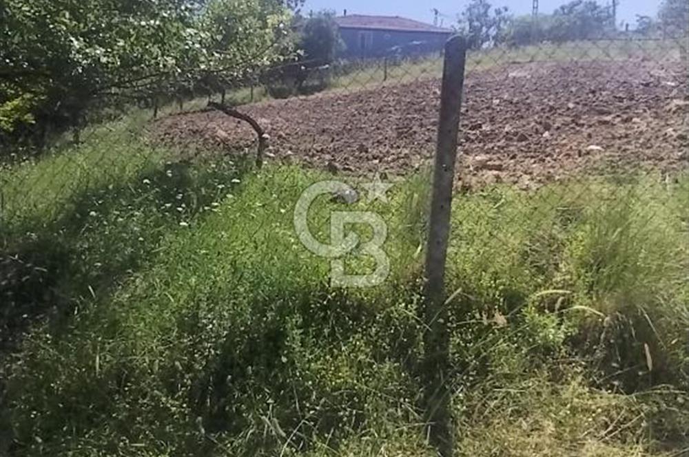 SATILIK, SİLİVRİ B. ÇAVUŞLU DA ORMAN MANZARALI 3 KAT İMARLI ARSA