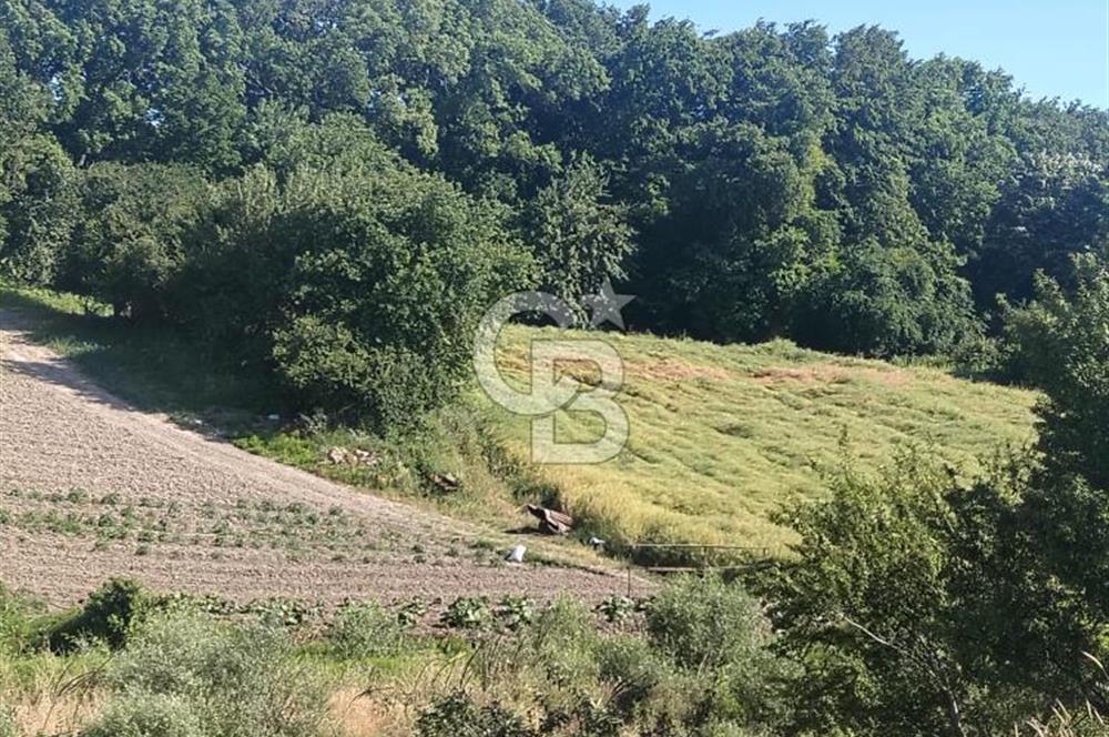 SATILIK, SİLİVRİ B. ÇAVUŞLU DA UYGUN FİYATLI ARSA