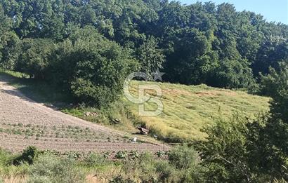 SATILIK, SİLİVRİ B. ÇAVUŞLU DA UYGUN FİYATLI ARSA