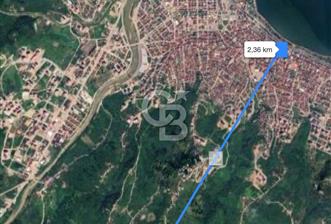 Meşebükü'nde Yola Cephe, TOKİ'ye 100m Satılık Fındık Bahçesi - 3 - 354191