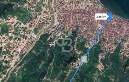 Meşebükü'nde Yola Cephe, TOKİ'ye 100m Satılık Fındık Bahçesi
