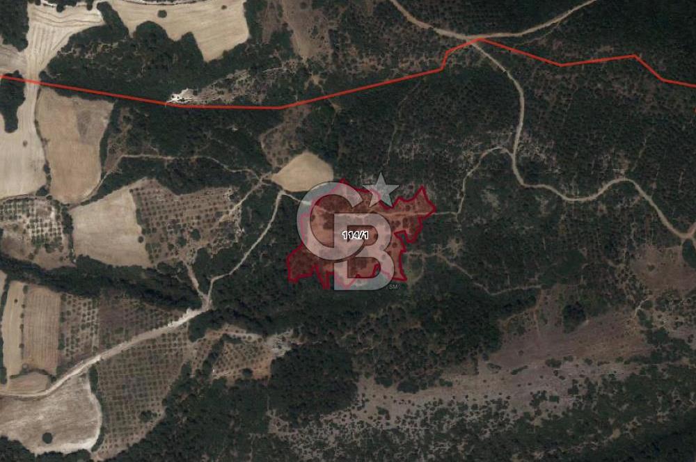 CB EAGLE'DAN KEPSUT BEYKÖY'DE SATILIK 12.200 m² TARLA