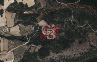 CB EAGLE'DAN KEPSUT BEYKÖY'DE SATILIK 12.200 m² TARLA