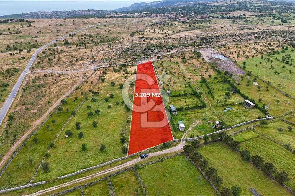 ÇANAKKALE AYVACIK KURUOBA KÖYÜNDE DENİZ GÖREN FIRSAT ARAZİ