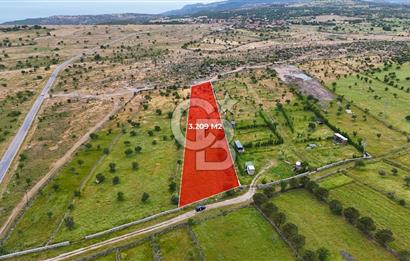 ÇANAKKALE AYVACIK KURUOBA KÖYÜNDE DENİZ GÖREN FIRSAT ARAZİ