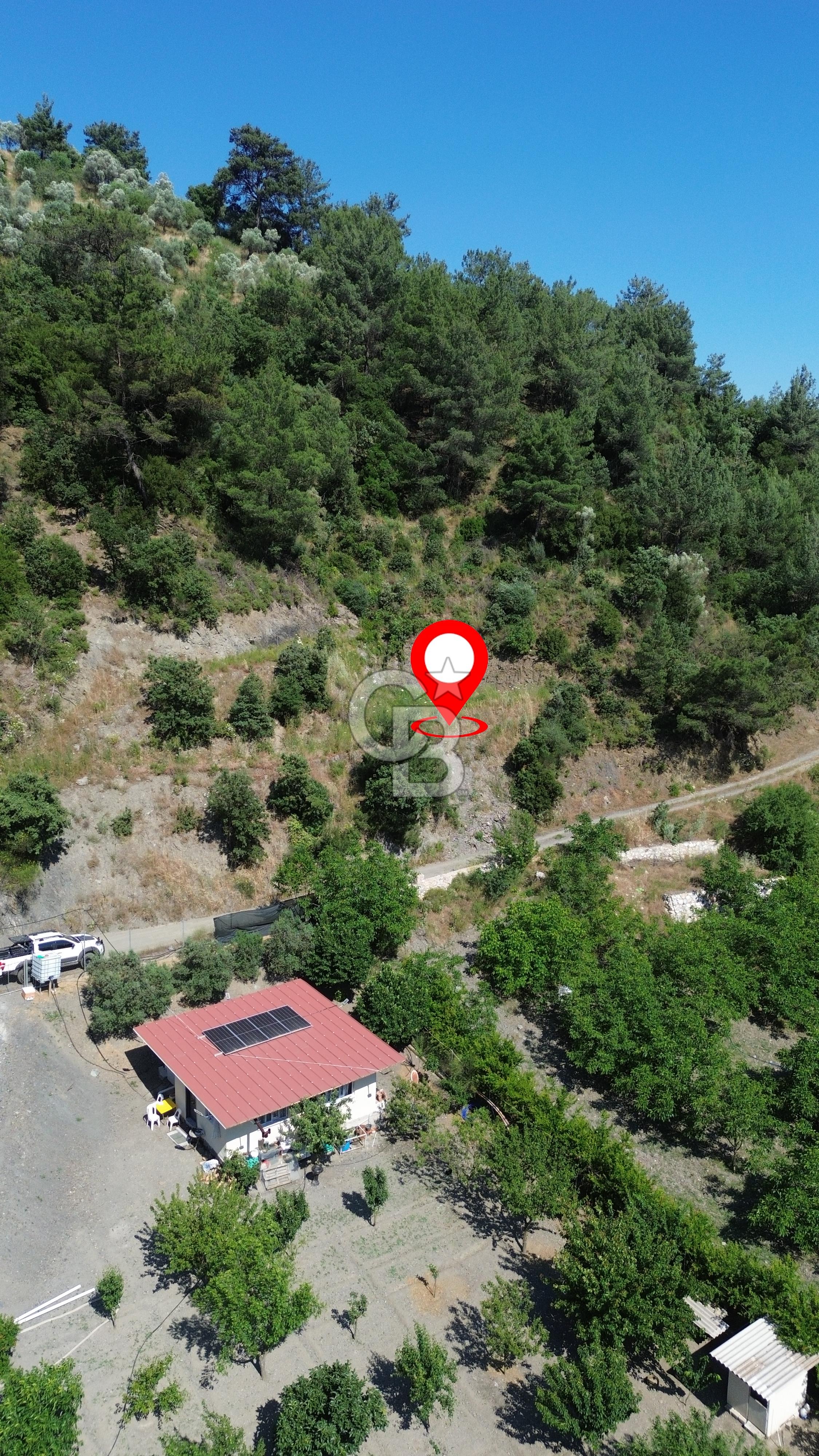 İzmir Güzelbahçe Payamlı'da Dereye Yakın Satılık Zeytinlik