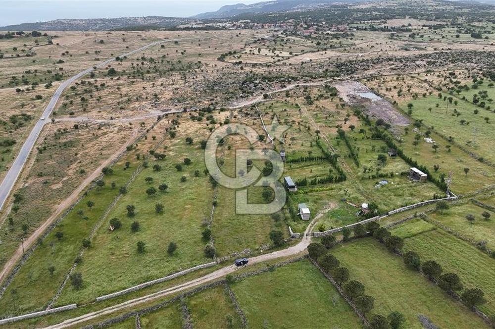 ÇANAKKALE AYVACIK KURUOBA KÖYÜNDE DENİZ GÖREN FIRSAT ARAZİ