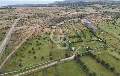 ÇANAKKALE AYVACIK KURUOBA KÖYÜNDE DENİZ GÖREN FIRSAT ARAZİ