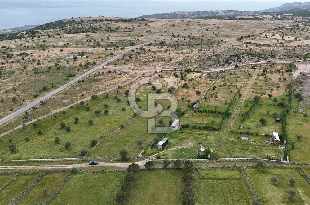 ÇANAKKALE AYVACIK KURUOBA KÖYÜNDE DENİZ GÖREN FIRSAT ARAZİ
