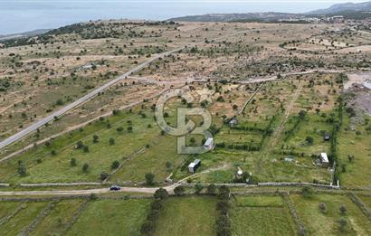 ÇANAKKALE AYVACIK KURUOBA KÖYÜNDE DENİZ GÖREN FIRSAT ARAZİ