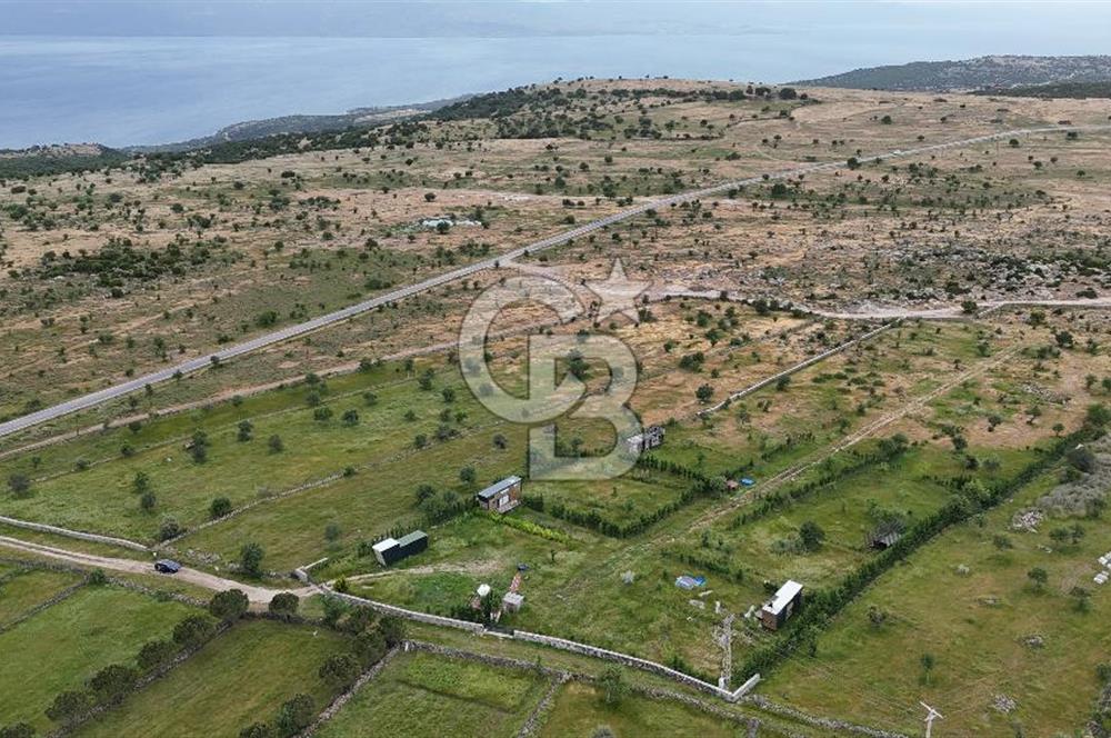 ÇANAKKALE AYVACIK KURUOBA KÖYÜNDE DENİZ GÖREN FIRSAT ARAZİ