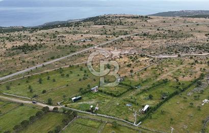 ÇANAKKALE AYVACIK KURUOBA KÖYÜNDE DENİZ GÖREN FIRSAT ARAZİ