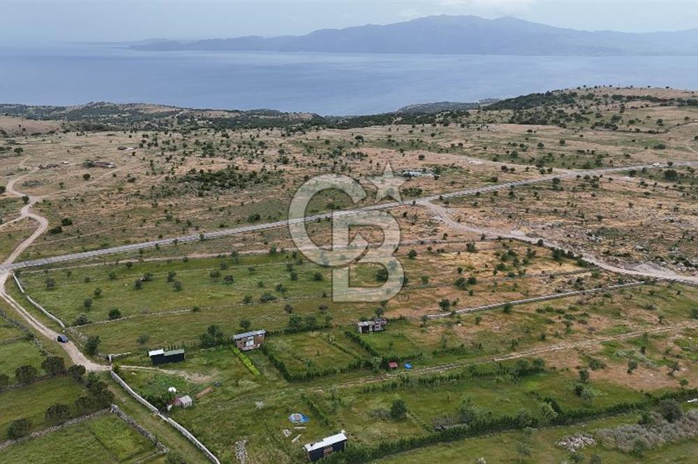 ÇANAKKALE AYVACIK KURUOBA KÖYÜNDE DENİZ GÖREN FIRSAT ARAZİ