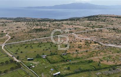 ÇANAKKALE AYVACIK KURUOBA KÖYÜNDE DENİZ GÖREN FIRSAT ARAZİ