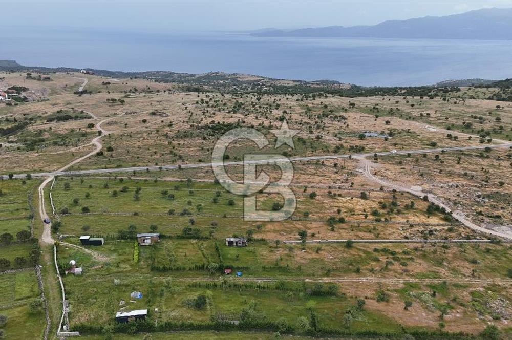 ÇANAKKALE AYVACIK KURUOBA KÖYÜNDE DENİZ GÖREN FIRSAT ARAZİ