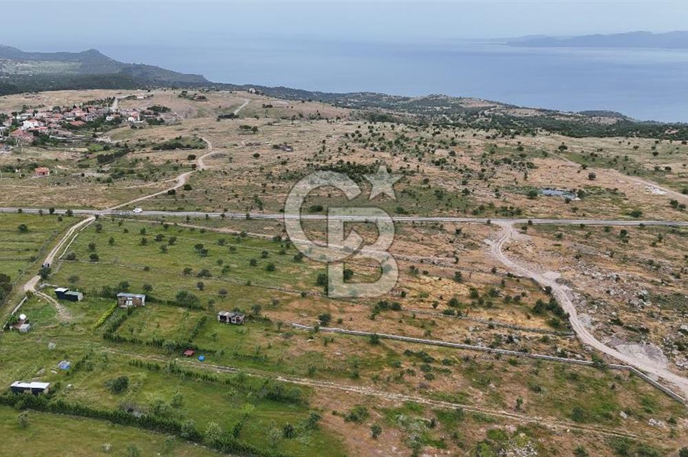 ÇANAKKALE AYVACIK KURUOBA KÖYÜNDE DENİZ GÖREN FIRSAT ARAZİ