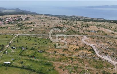 ÇANAKKALE AYVACIK KURUOBA KÖYÜNDE DENİZ GÖREN FIRSAT ARAZİ