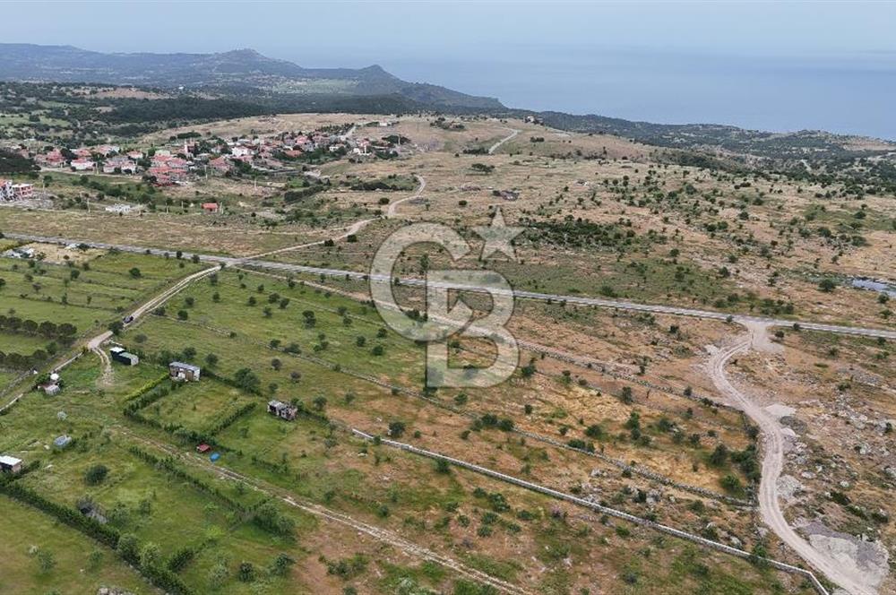 ÇANAKKALE AYVACIK KURUOBA KÖYÜNDE DENİZ GÖREN FIRSAT ARAZİ