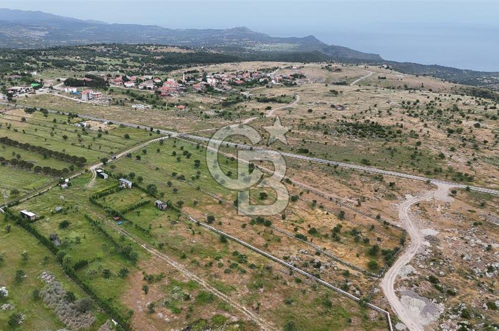 ÇANAKKALE AYVACIK KURUOBA KÖYÜNDE DENİZ GÖREN FIRSAT ARAZİ