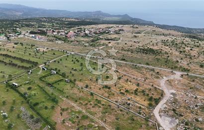 ÇANAKKALE AYVACIK KURUOBA KÖYÜNDE DENİZ GÖREN FIRSAT ARAZİ