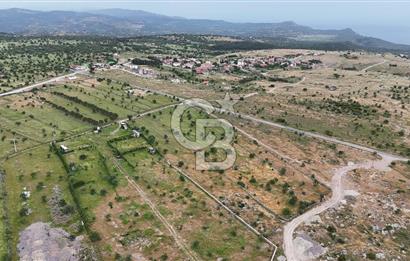 ÇANAKKALE AYVACIK KURUOBA KÖYÜNDE DENİZ GÖREN FIRSAT ARAZİ