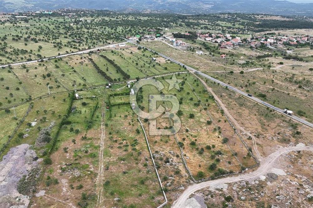ÇANAKKALE AYVACIK KURUOBA KÖYÜNDE DENİZ GÖREN FIRSAT ARAZİ