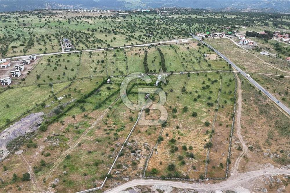 ÇANAKKALE AYVACIK KURUOBA KÖYÜNDE DENİZ GÖREN FIRSAT ARAZİ