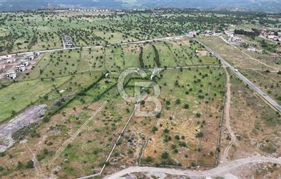 ÇANAKKALE AYVACIK KURUOBA KÖYÜNDE DENİZ GÖREN FIRSAT ARAZİ