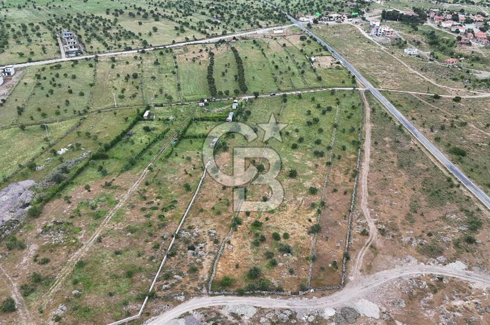 ÇANAKKALE AYVACIK KURUOBA KÖYÜNDE DENİZ GÖREN FIRSAT ARAZİ