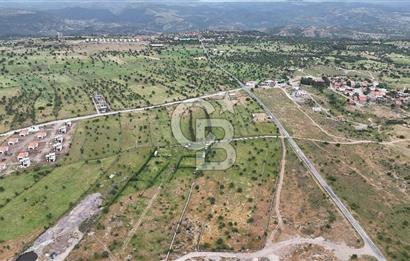 ÇANAKKALE AYVACIK KURUOBA KÖYÜNDE DENİZ GÖREN FIRSAT ARAZİ