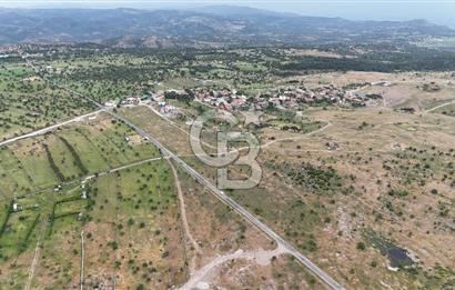 ÇANAKKALE AYVACIK KURUOBA KÖYÜNDE DENİZ GÖREN FIRSAT ARAZİ