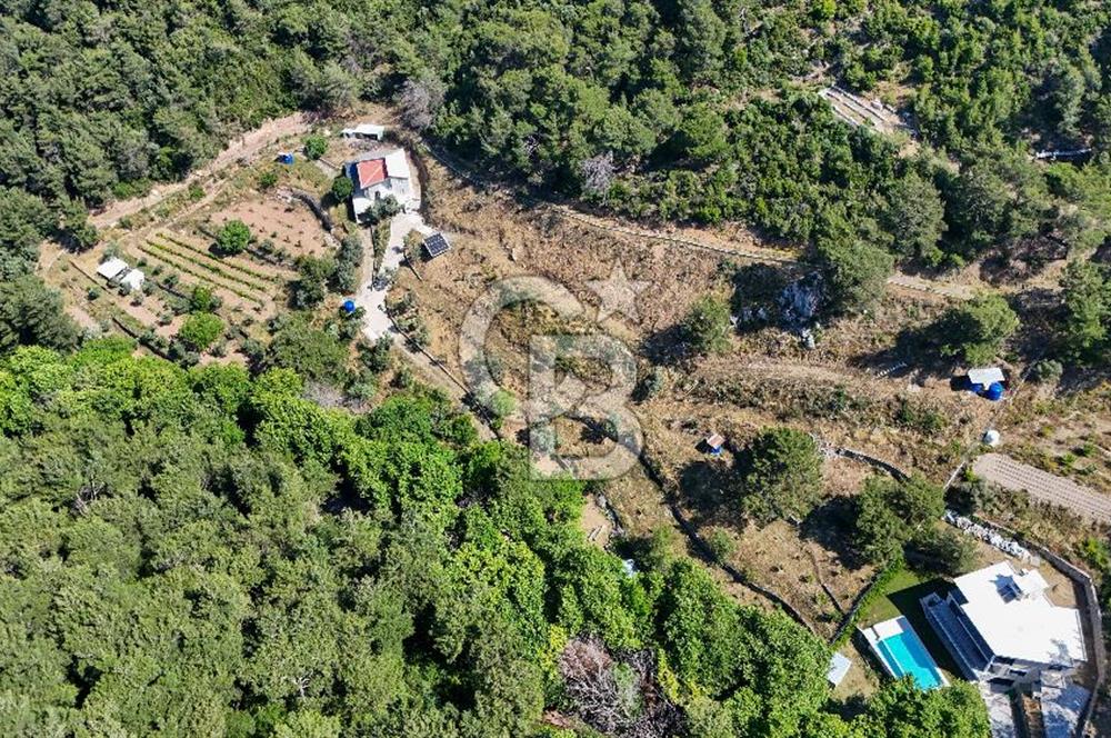 Bornova 17 Dönüm İçinde Özel Yaşam Çiftliği