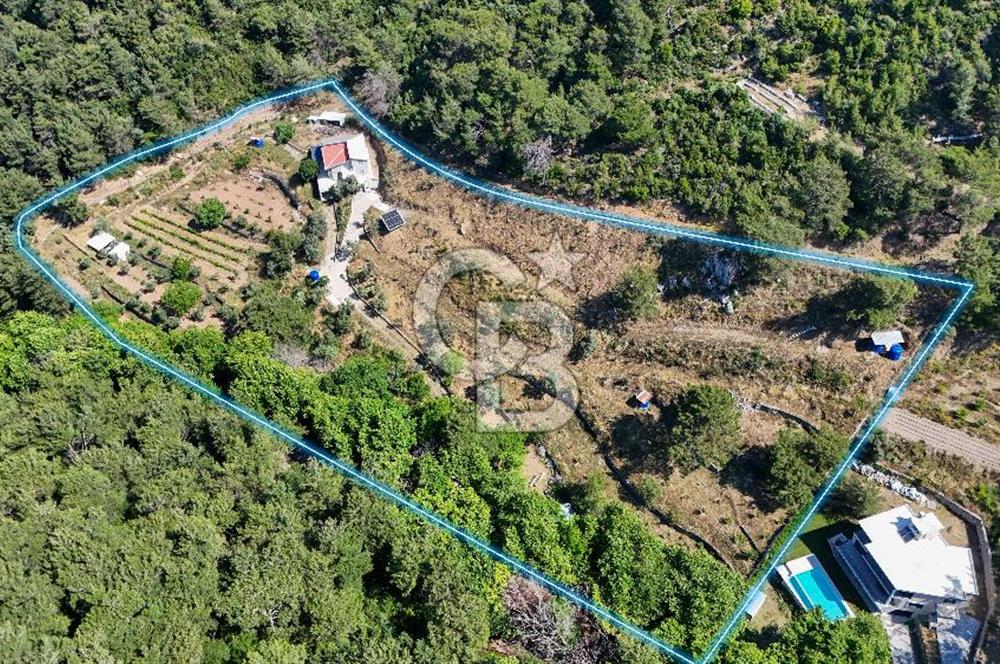 Bornova 17 Dönüm İçinde Özel Yaşam Çiftliği