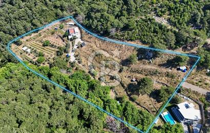 Bornova 17 Dönüm İçinde Özel Yaşam Çiftliği