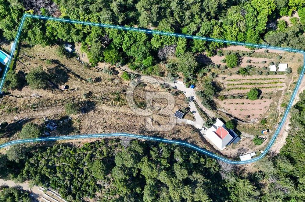 Bornova 17 Dönüm İçinde Özel Yaşam Çiftliği