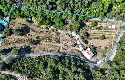 Bornova 17 Dönüm İçinde Özel Yaşam Çiftliği