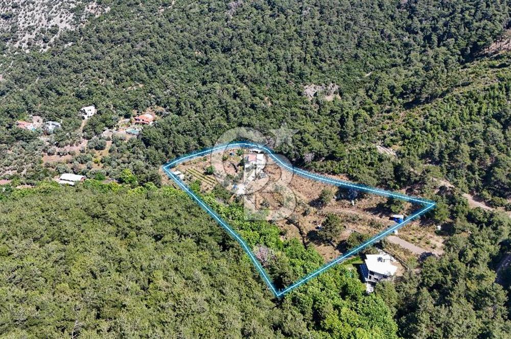 Bornova 17 Dönüm İçinde Özel Yaşam Çiftliği