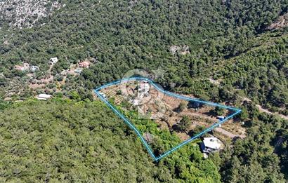 Bornova 17 Dönüm İçinde Özel Yaşam Çiftliği