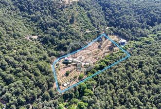 Bornova 17 Dönüm İçinde Özel Yaşam Çiftliği - 1 - 354241