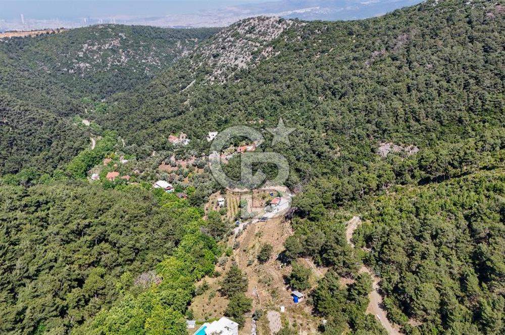 Bornova 17 Dönüm İçinde Özel Yaşam Çiftliği