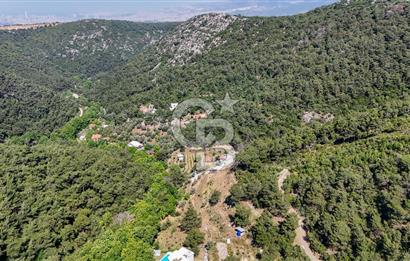 Bornova 17 Dönüm İçinde Özel Yaşam Çiftliği